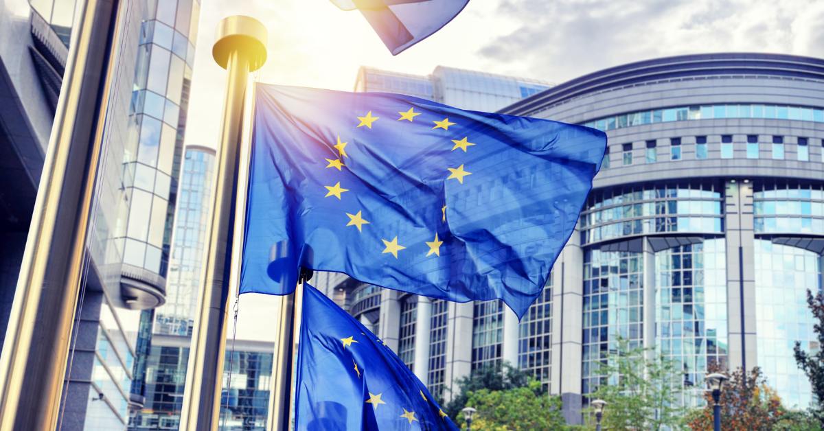 erasmus programme